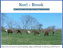 Tablet Screenshot of koribrook.com